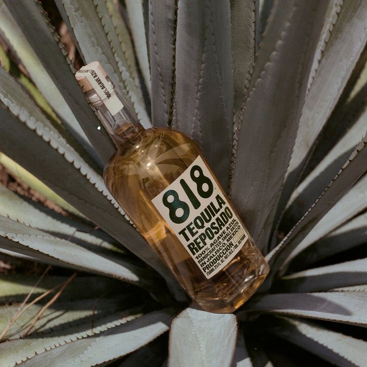 818 Tequila Reposado By Kendall Jenner